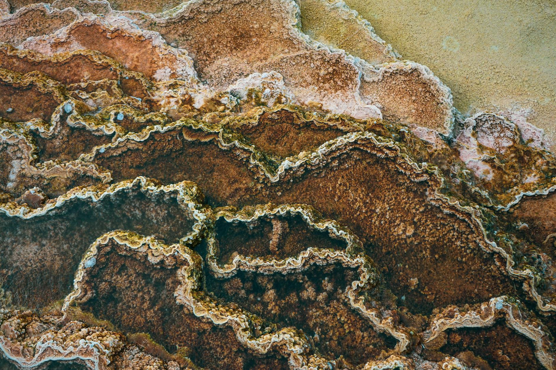 Skin Barrier Eczema: Practical Guide - educational article image