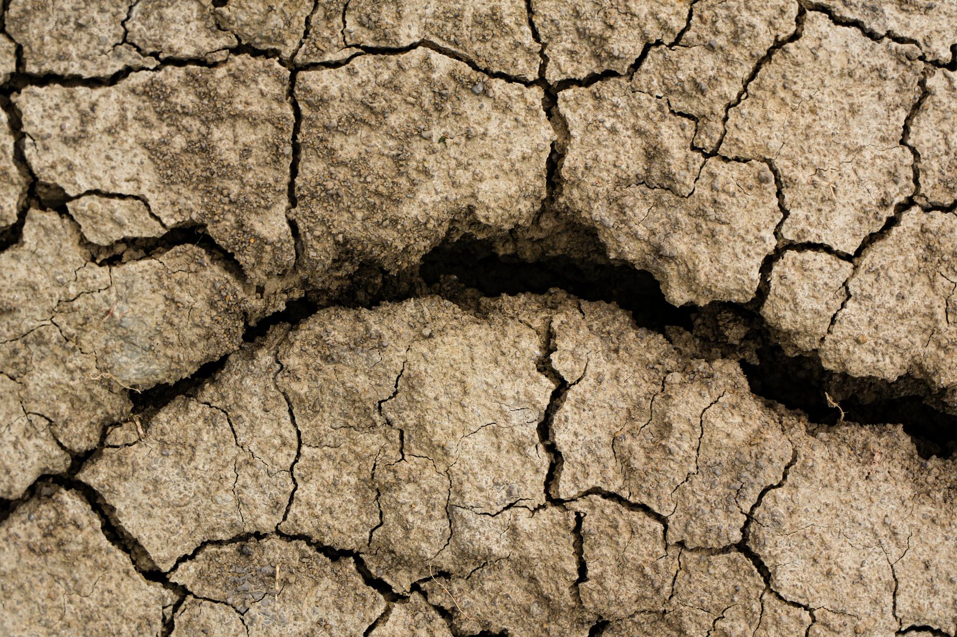 Finger Cracks Eczema: Practical Guide - educational article image